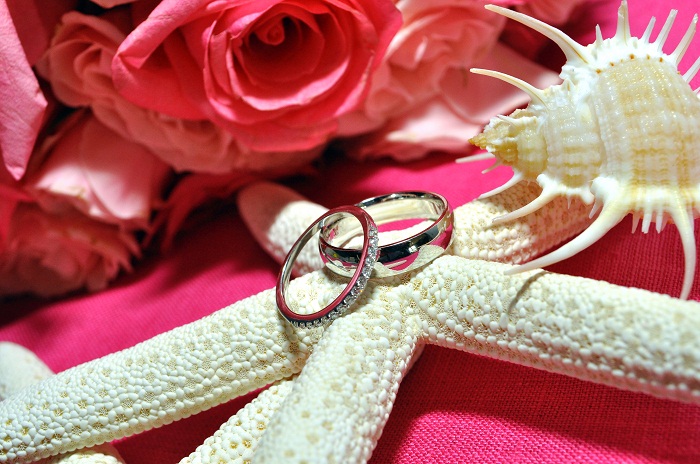 Wedding Rings Starfish