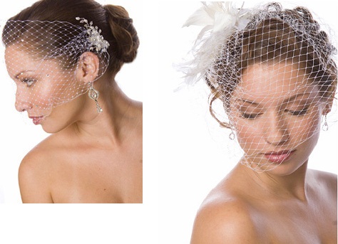 Birdcage veil with feather-crystal headpiece